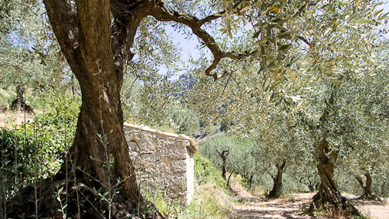 Photo of Outdoor in Rousset-les-Vignes