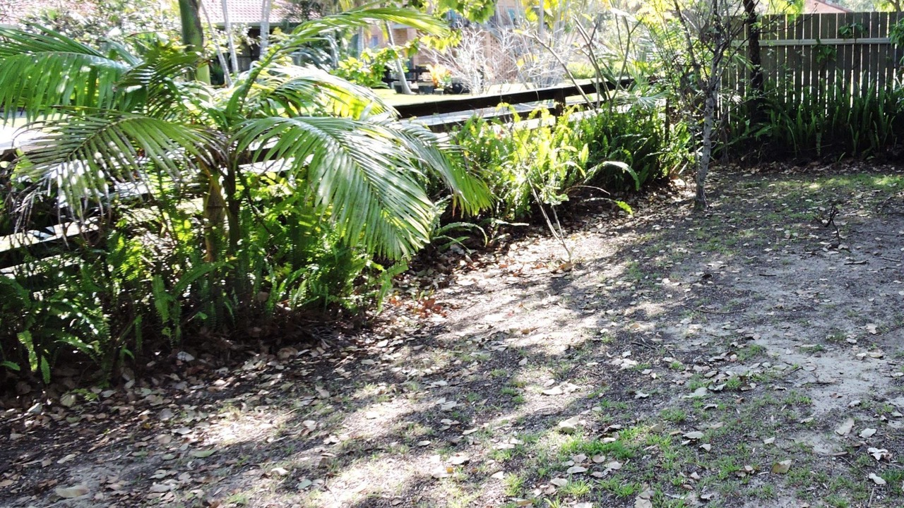 Photo of Outdoor in Crescent Head