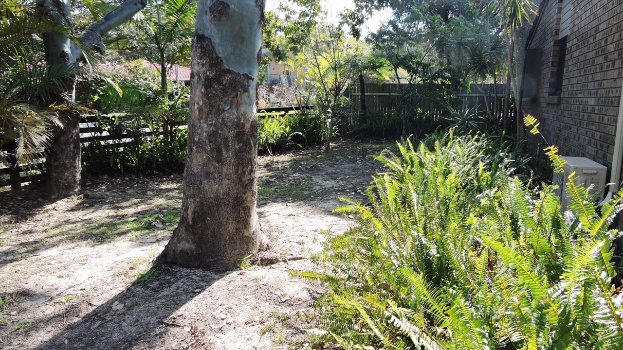 Photo of Outdoor in Crescent Head