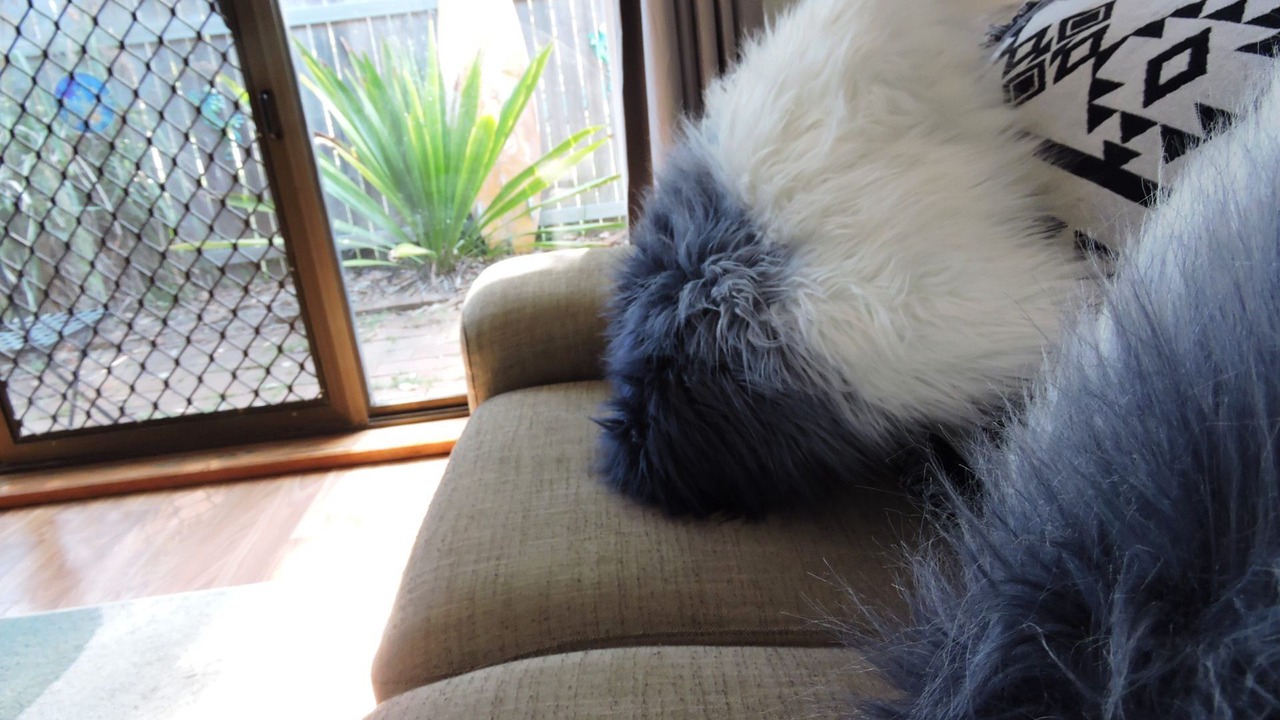 Photo of Others in Crescent Head