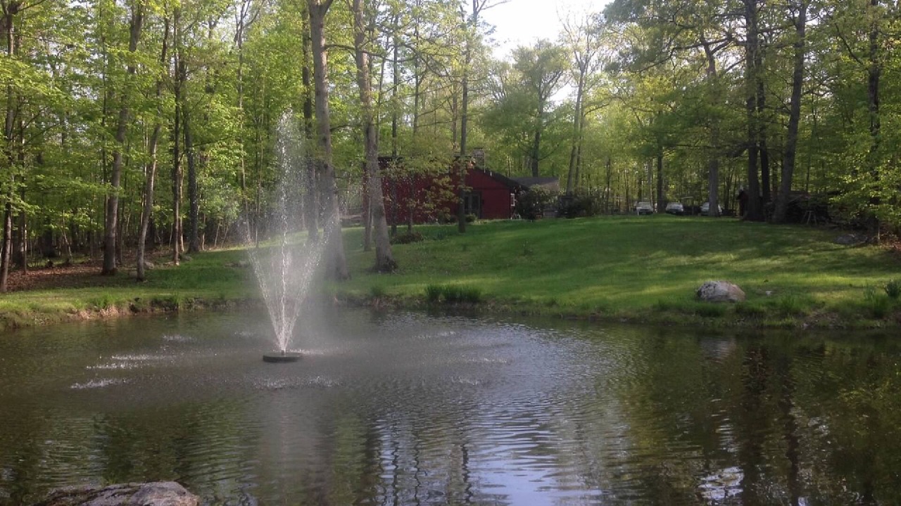 Photo of Others in New Paltz