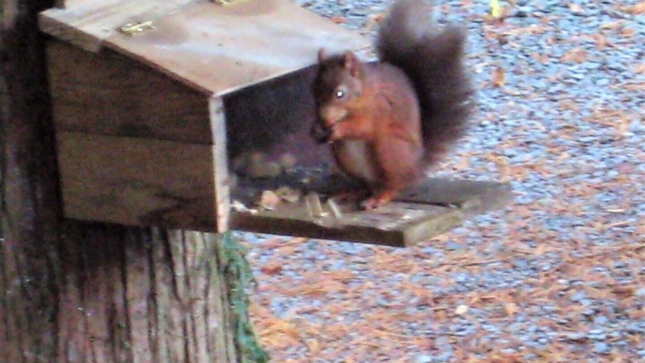 Photo of Outdoor in Grasmere