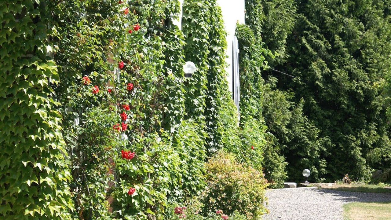 Photo of Outdoor in Salles