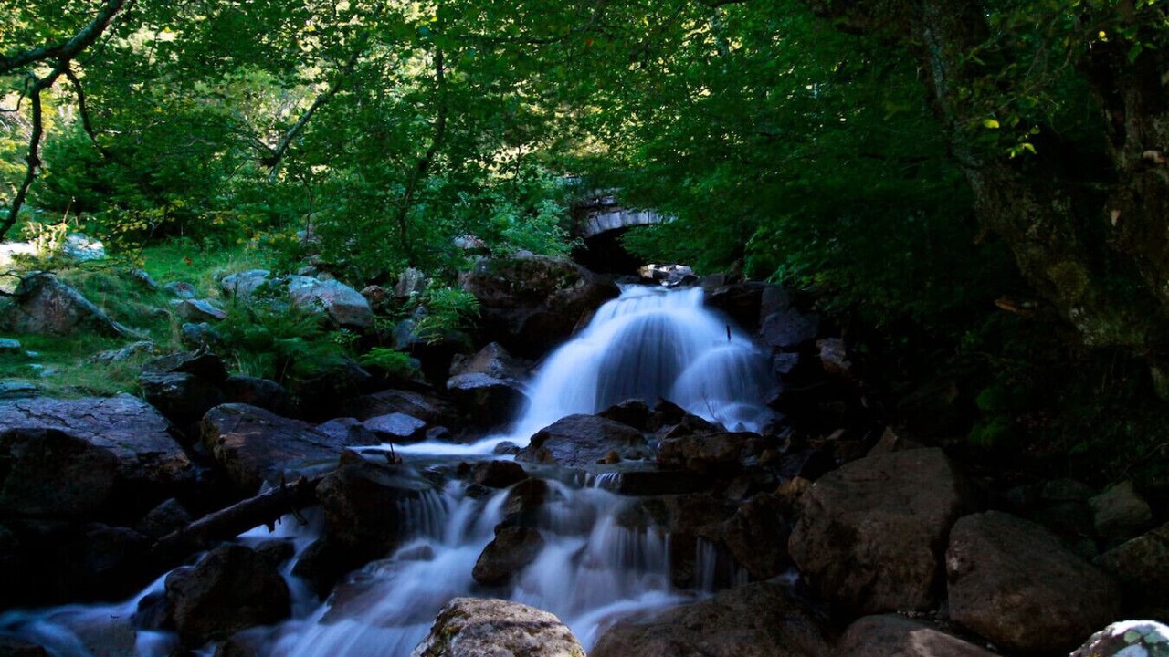 Photo of Others in Salles