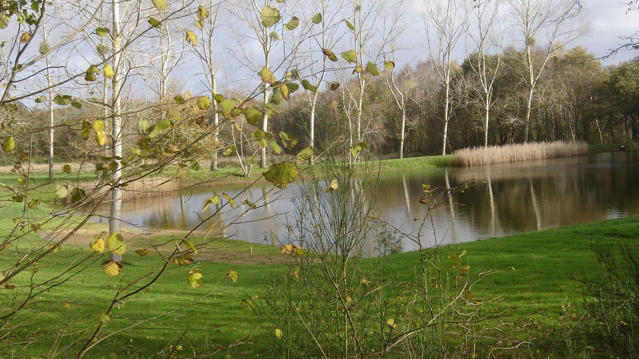 Photo of Outdoor in Nivillac