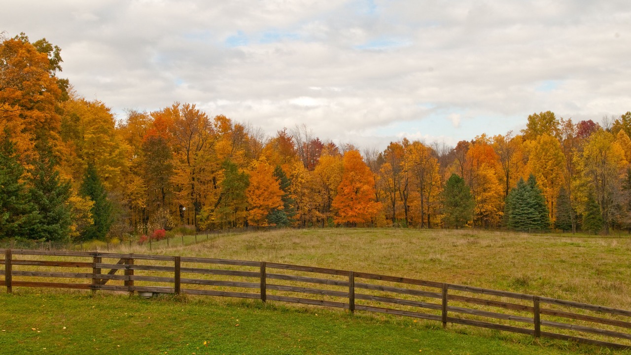 Photo of Outdoor in Buchanan
