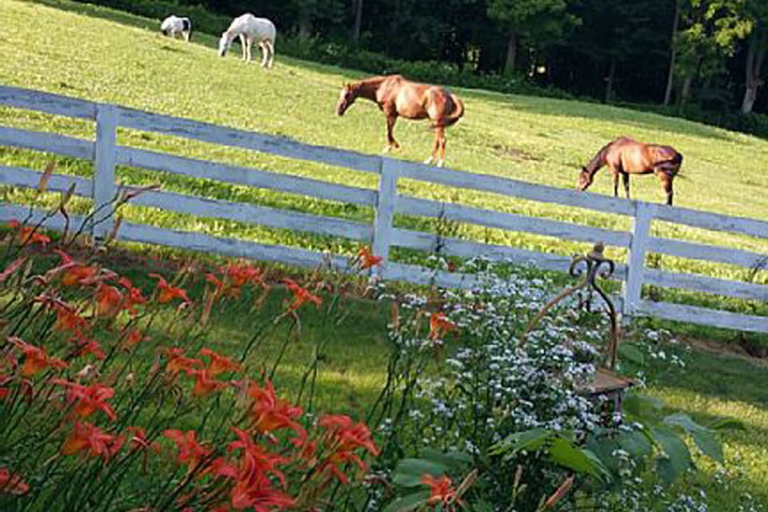 Photo of Outdoor in Buchanan