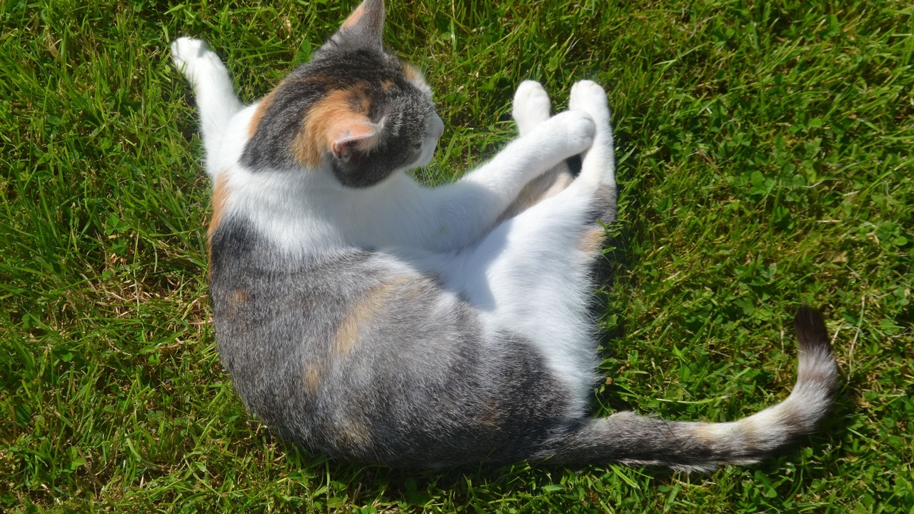 Photo of Others in Equemauville