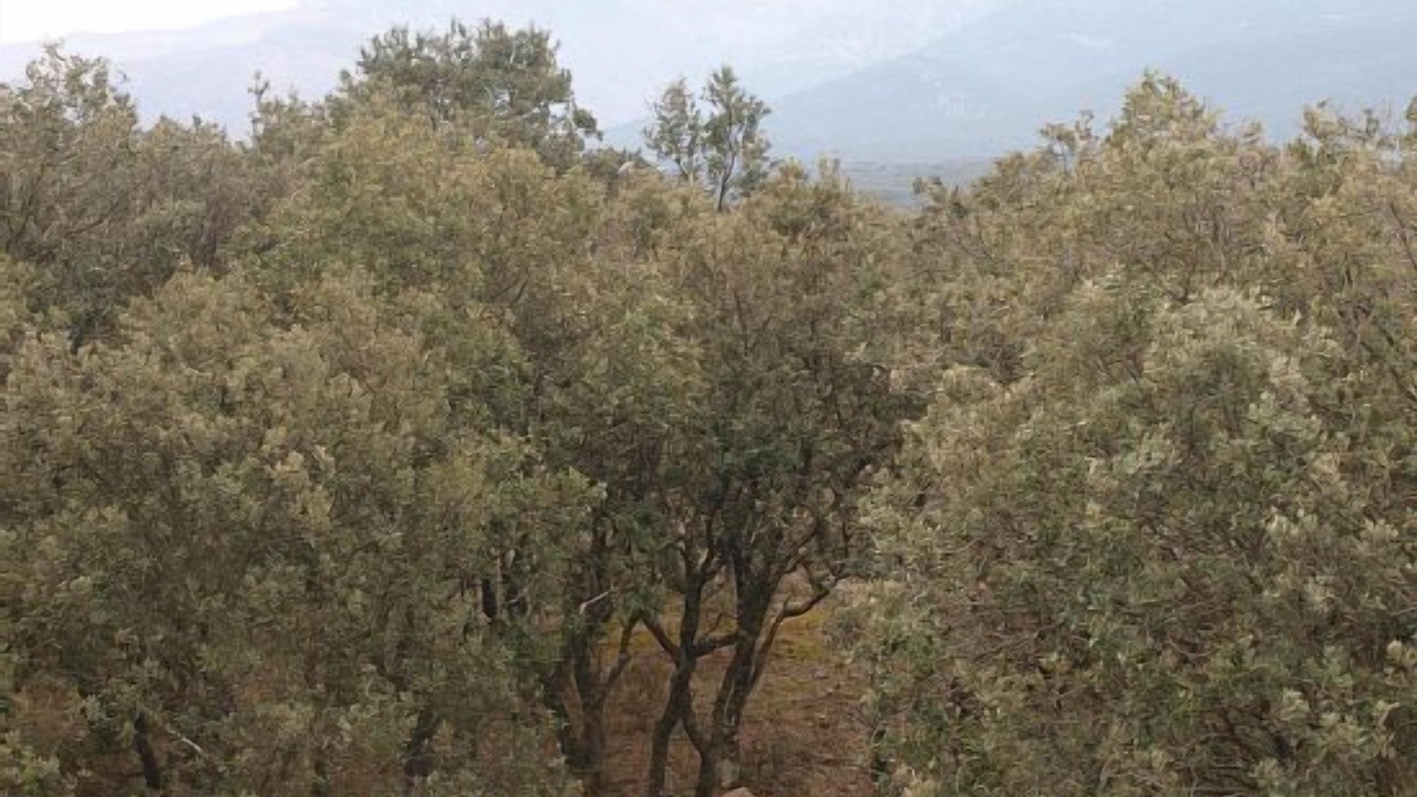 Photo of Outdoor in Anon de Moncayo
