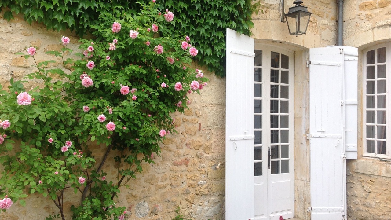 Photo of Outdoor in Carves