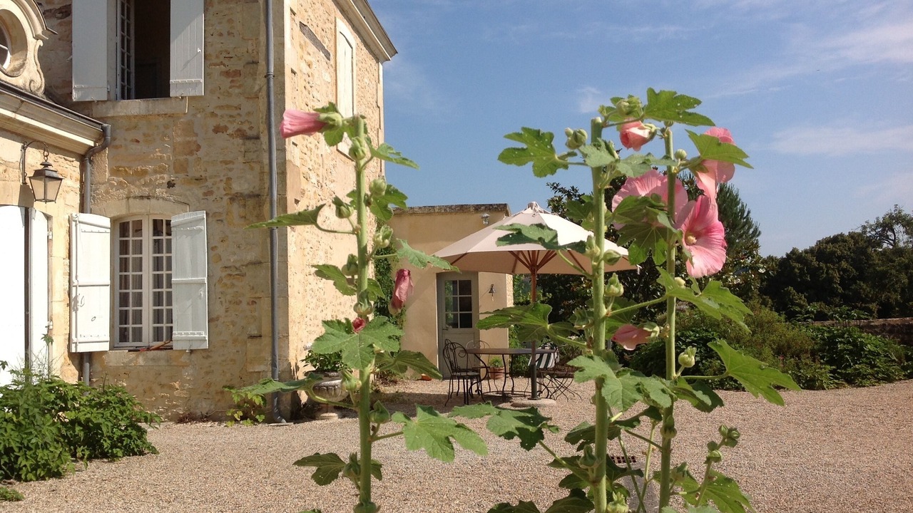 Photo of Outdoor in Carves