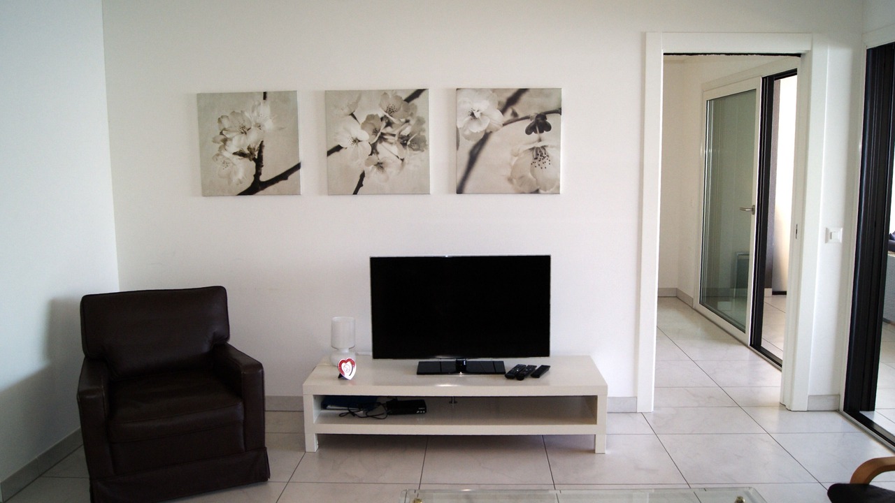Photo of Livingroom in Locarno