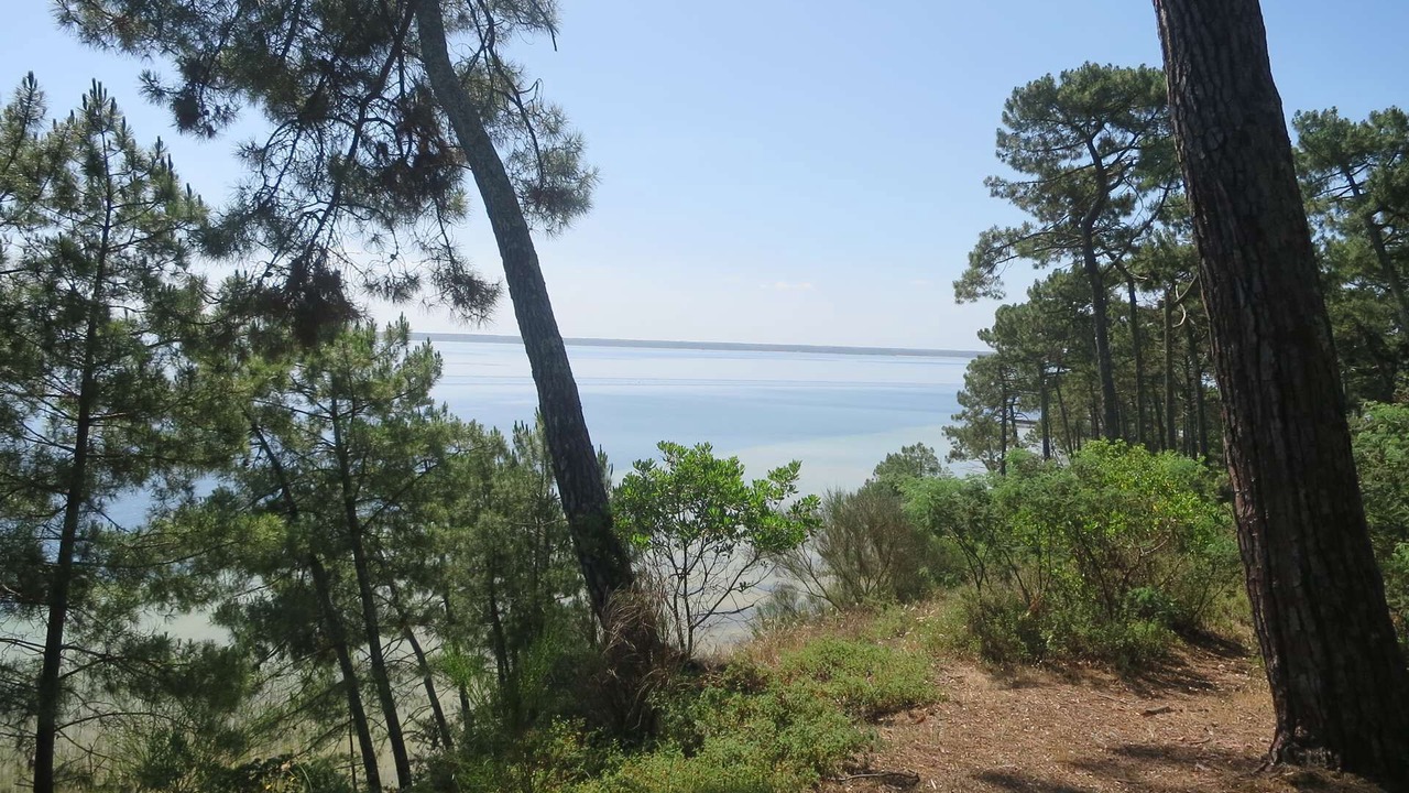 Photo of Others in Biscarrosse