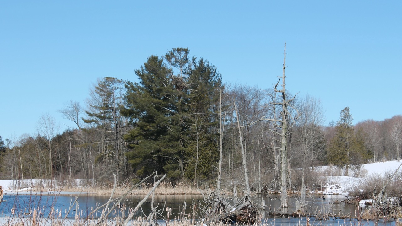 Photo of Others in Richfield Springs