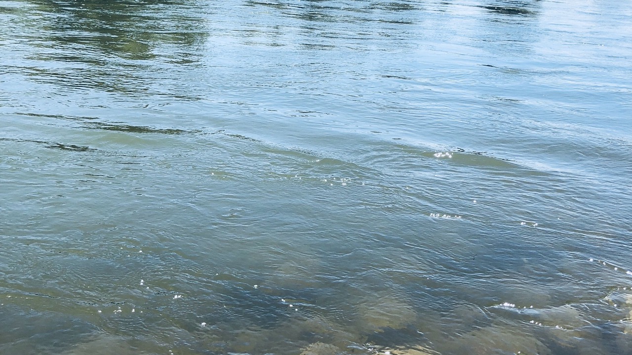 Photo of Others in Casper