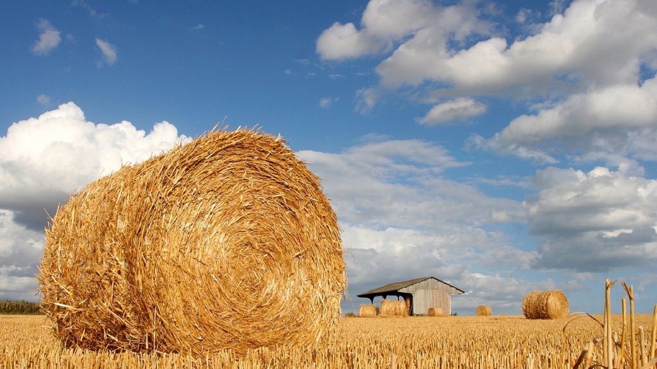 Photo of Outdoor in Coulombs