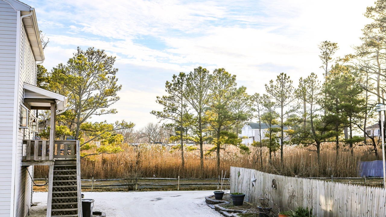 Photo of Outdoor in Chincoteague
