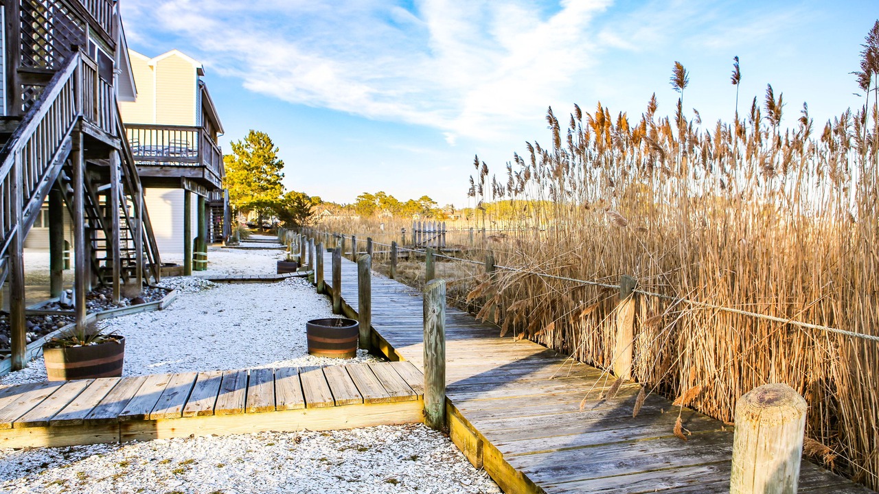 Photo of Outdoor in Chincoteague