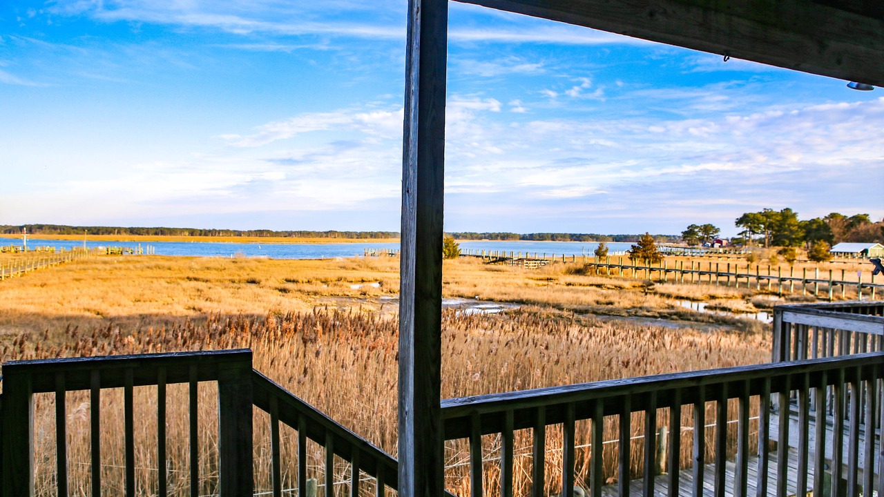 Photo of Outdoor in Chincoteague