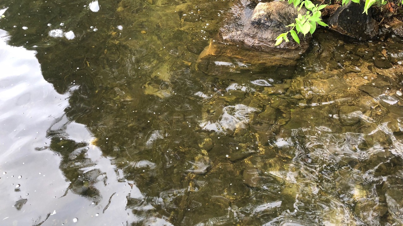Photo of Outdoor in Highlands East