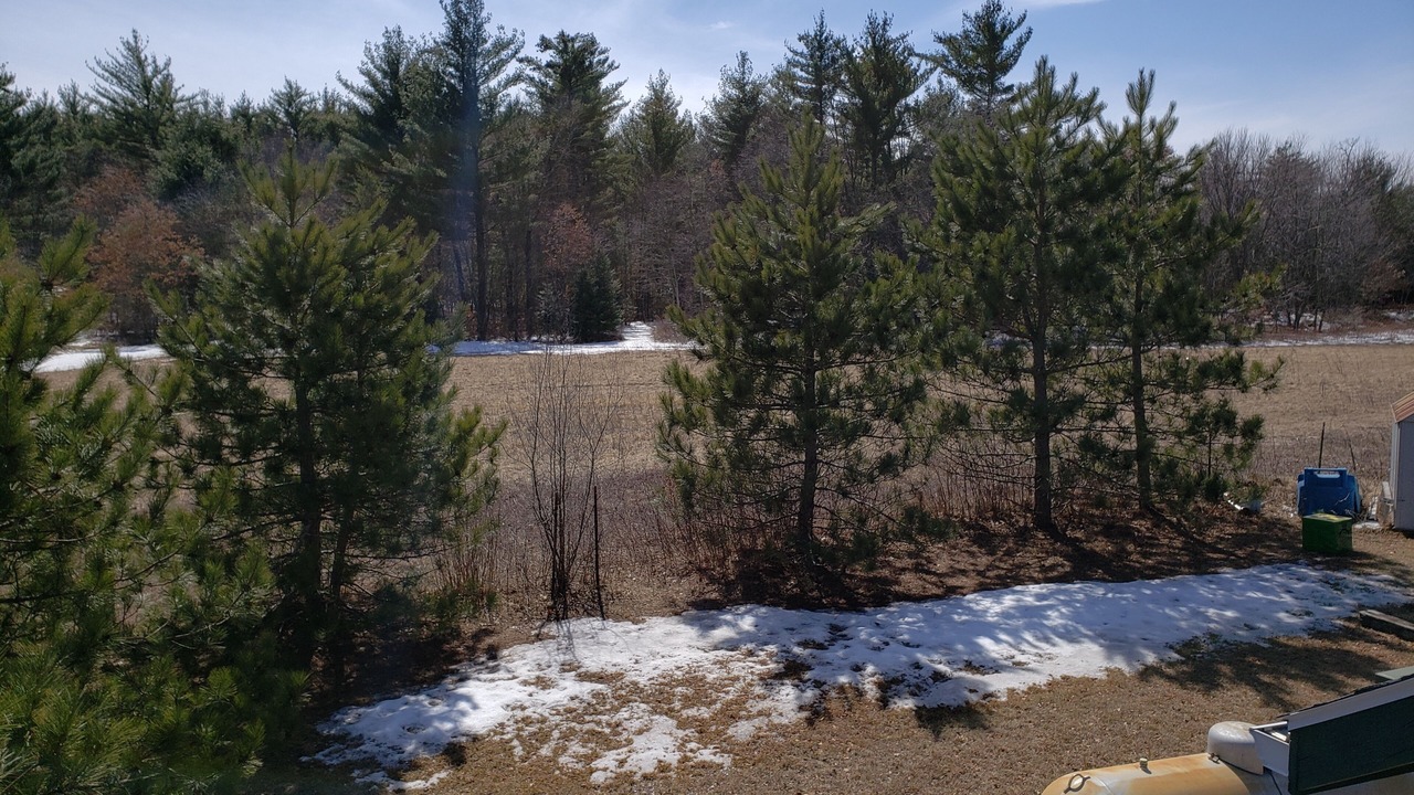 Photo of Outdoor in Black River Falls