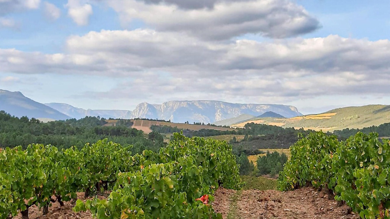 Photo of Others in Prades-sur-Vernazobre