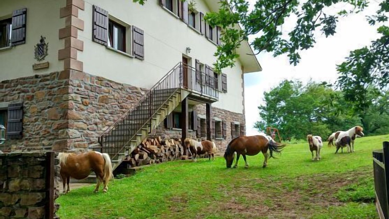 Photo of Outdoor in Elbete