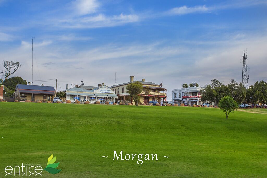 Photo of Outdoor in Morgan