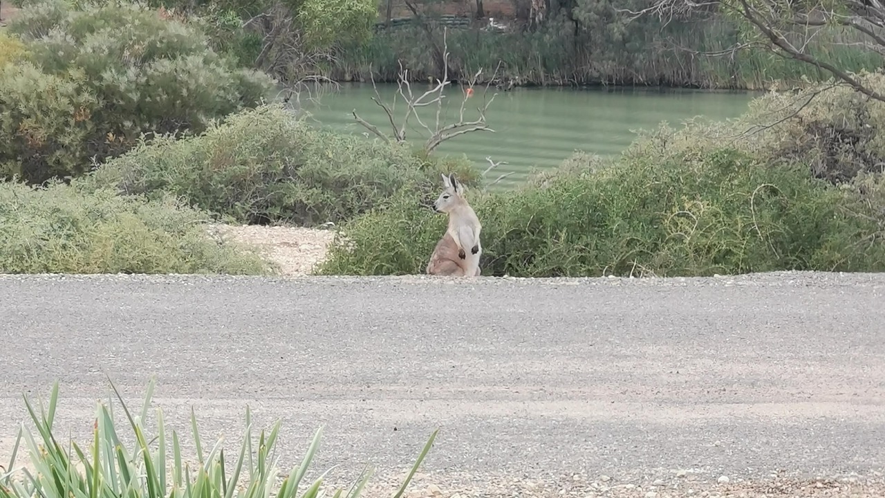 Photo of Outdoor in Morgan