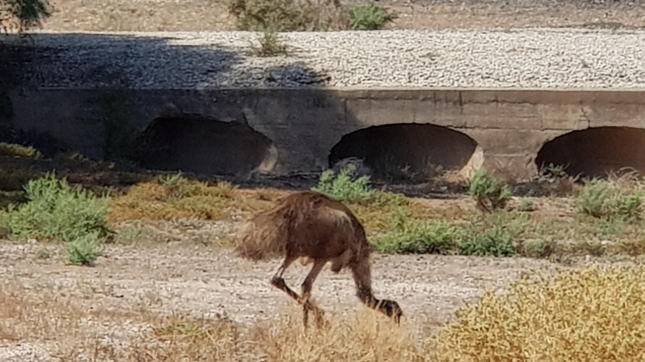 Photo of Outdoor in Morgan