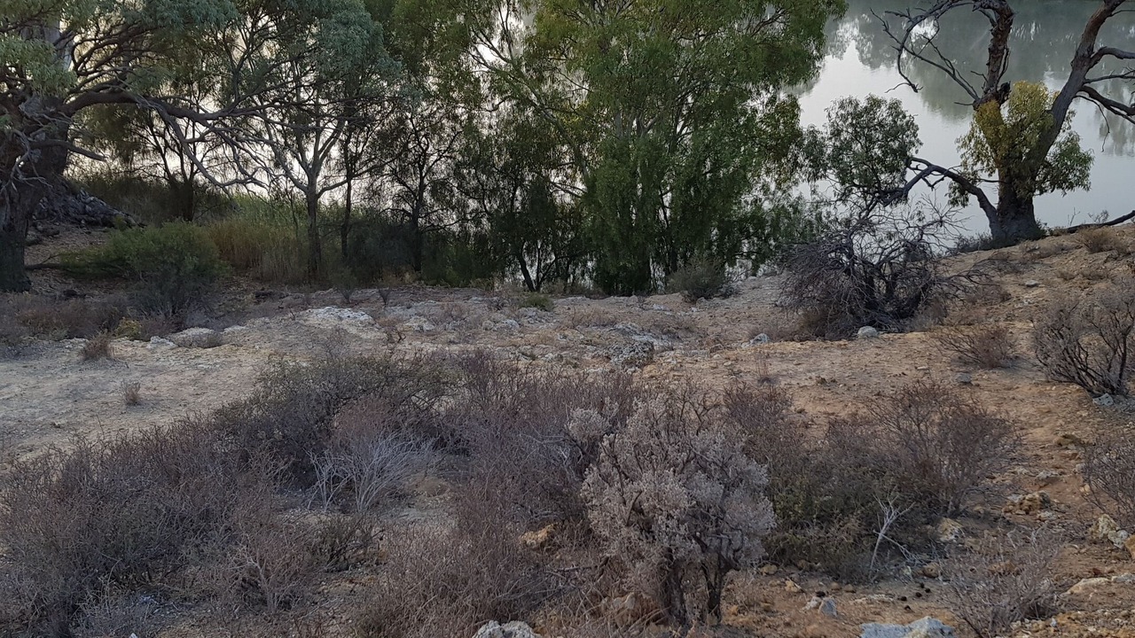 Photo of Outdoor in Morgan