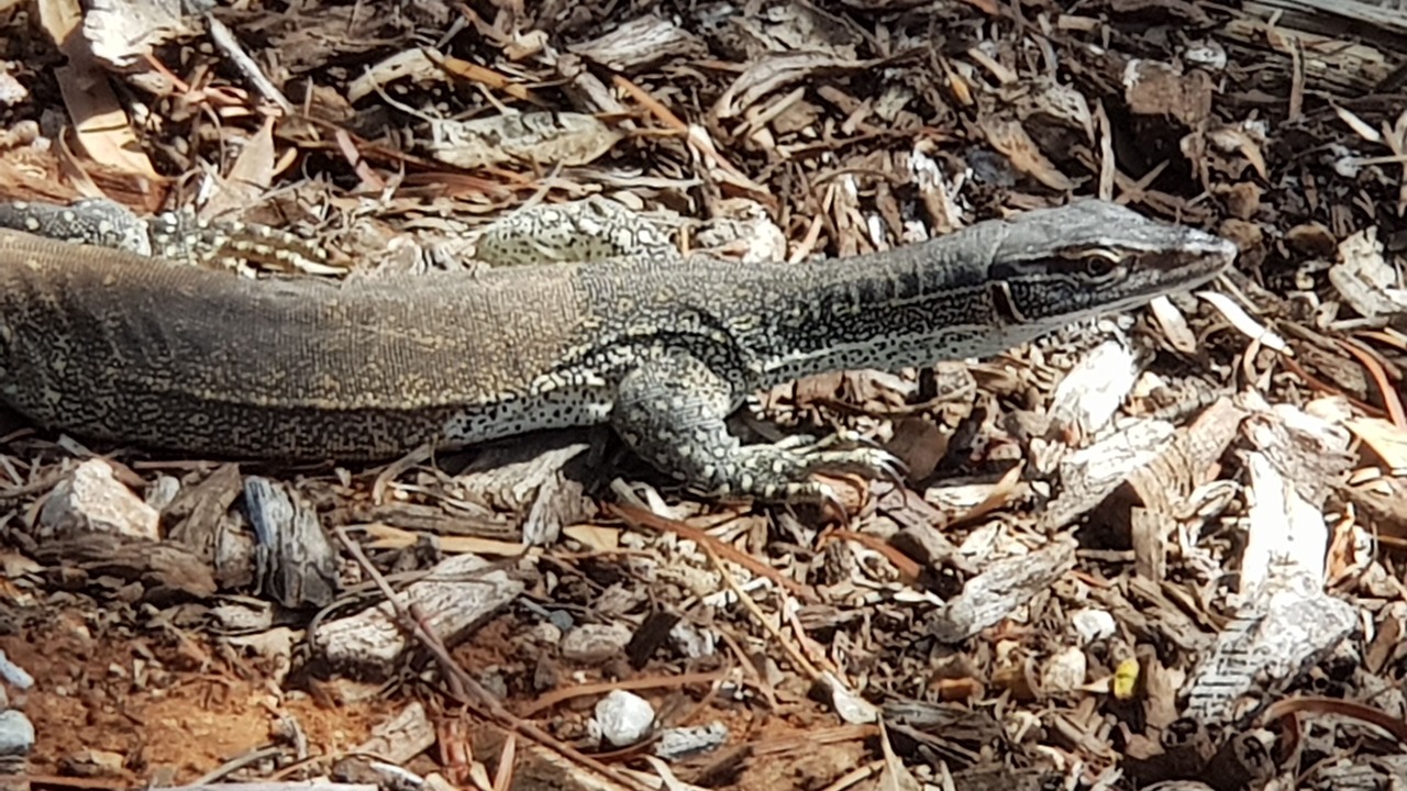 Photo of Outdoor in Morgan