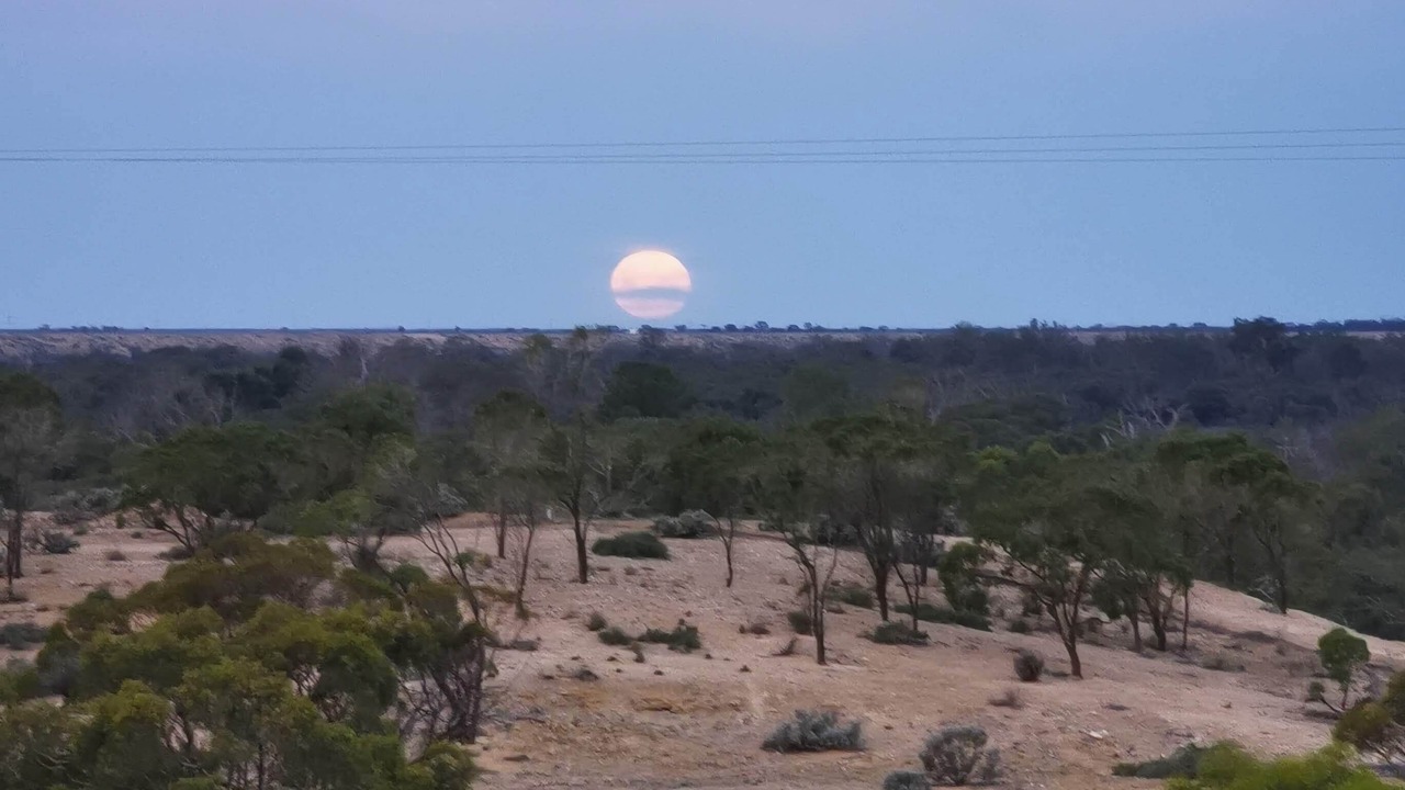 Photo of Others in Morgan