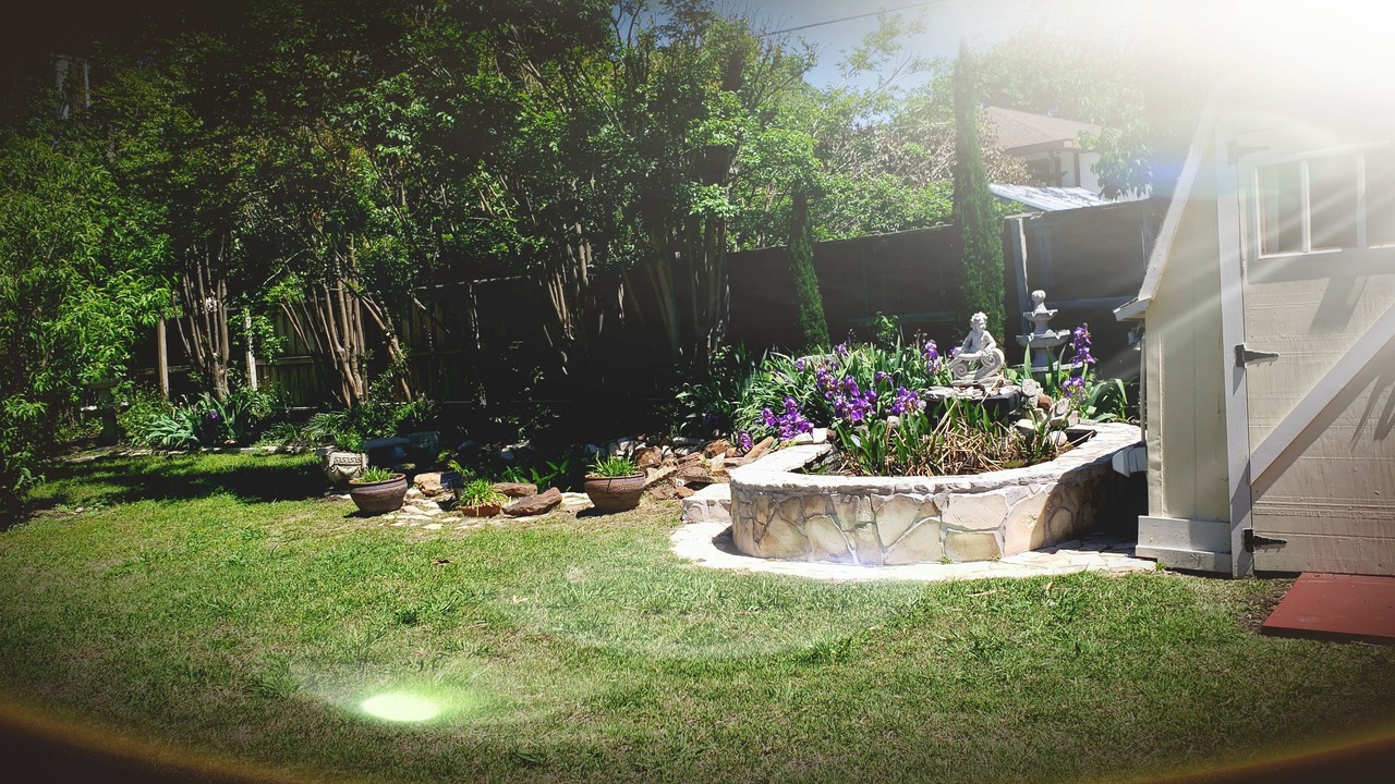 Photo of Outdoor in South Arlington