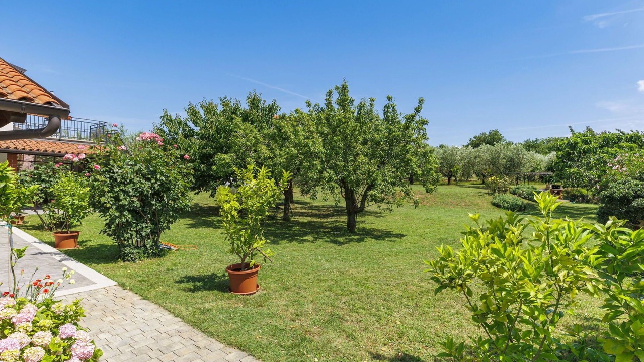 Photo of Outdoor in Novigrad