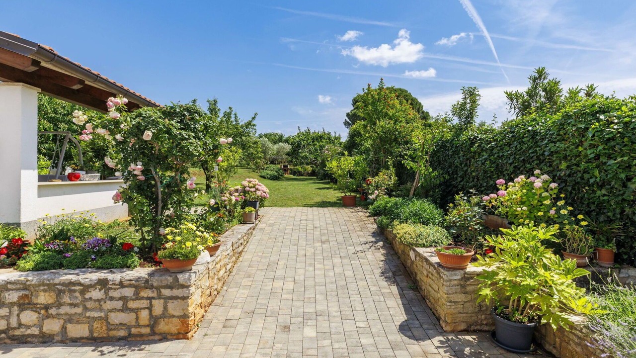 Photo of Outdoor in Novigrad