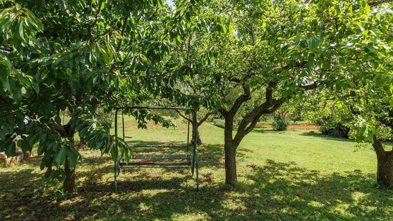 Photo of Outdoor in Novigrad