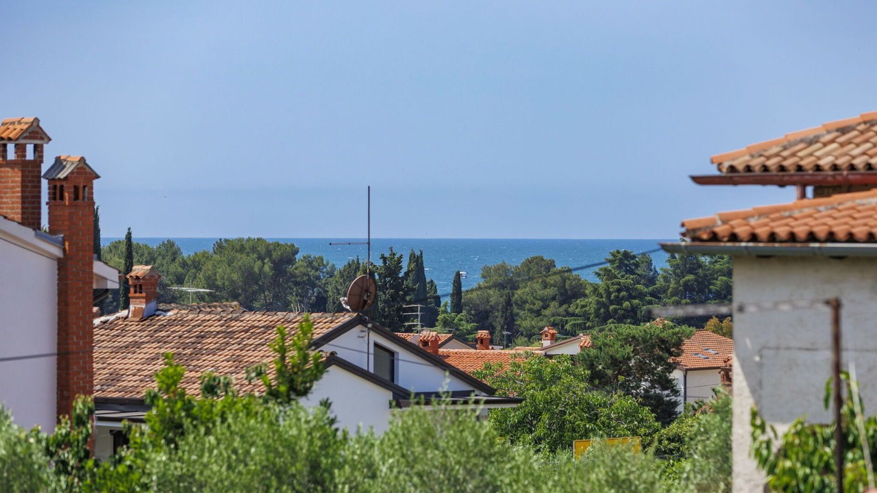 Photo of Others in Novigrad