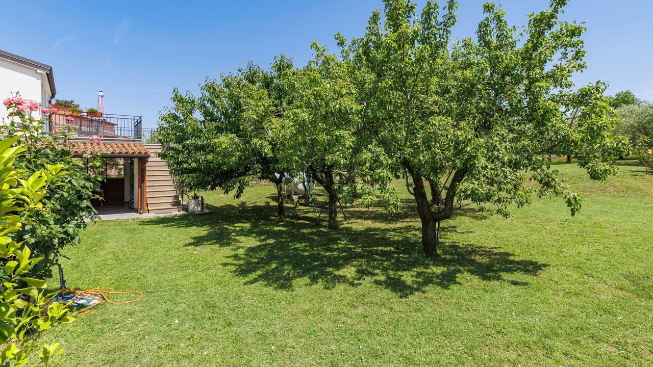 Photo of Outdoor in Novigrad