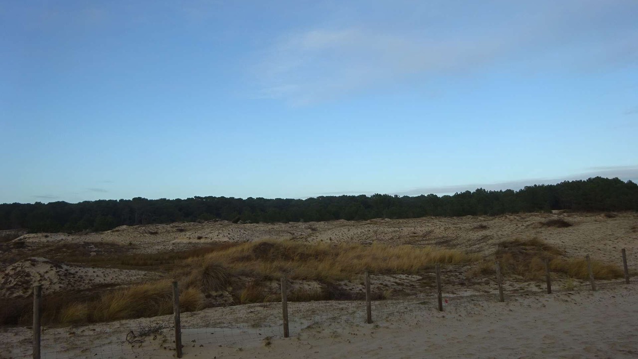 Photo of Others in Biscarrosse Plage