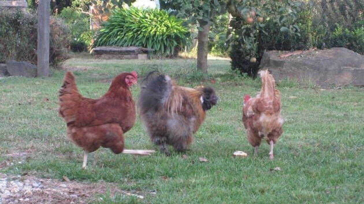 Photo of Outdoor in Killingworth