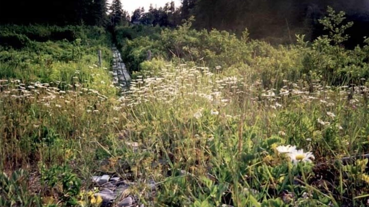 Photo of Others in Seawall
