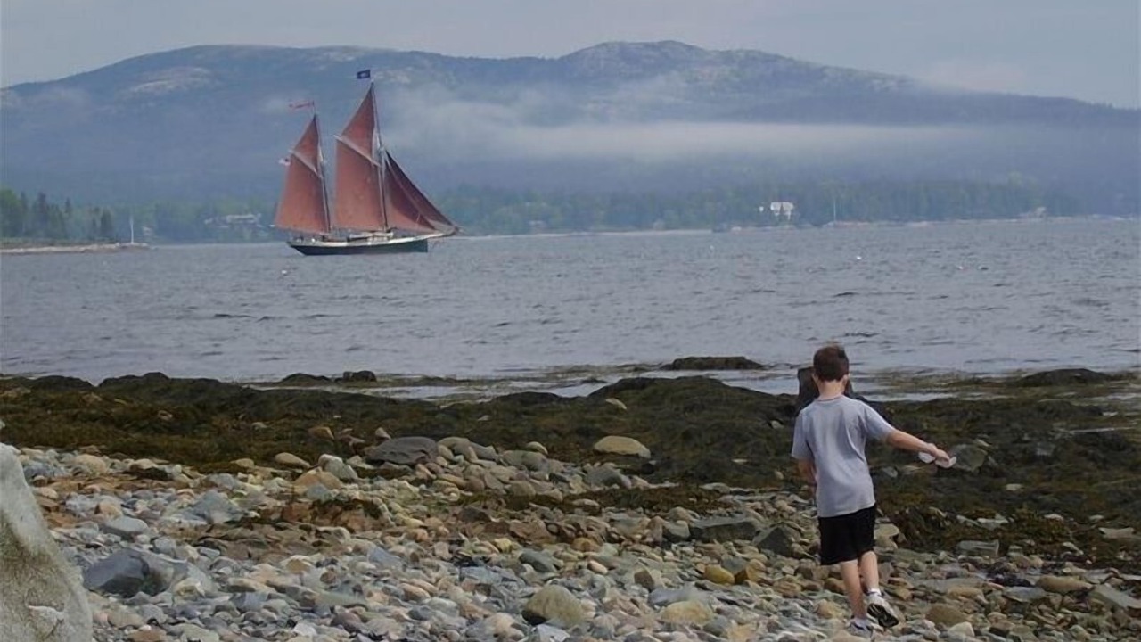 Photo of Others in Seawall