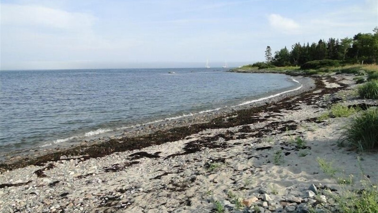 Photo of Others in Seawall