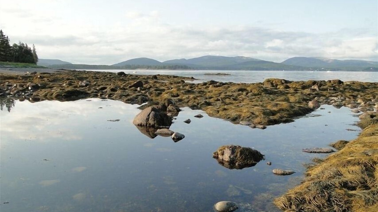 Photo of Outdoor in Seawall