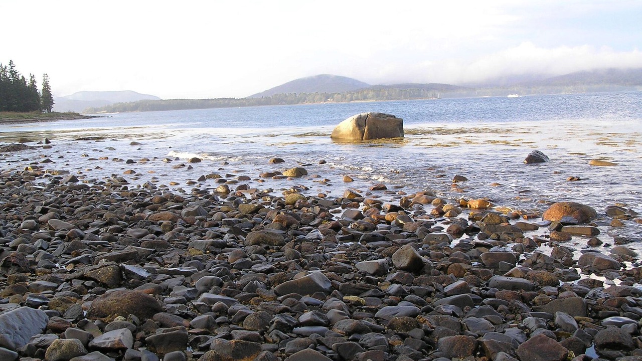 Photo of Others in Seawall