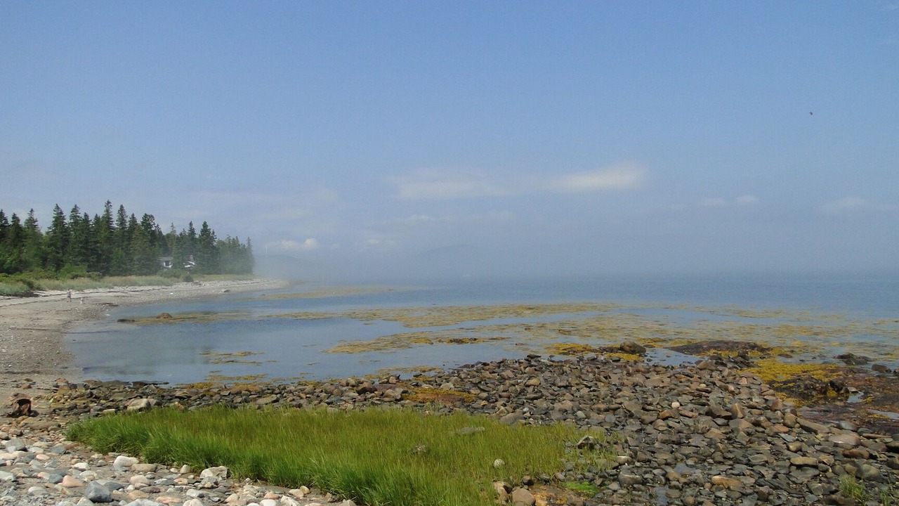 Photo of Others in Seawall