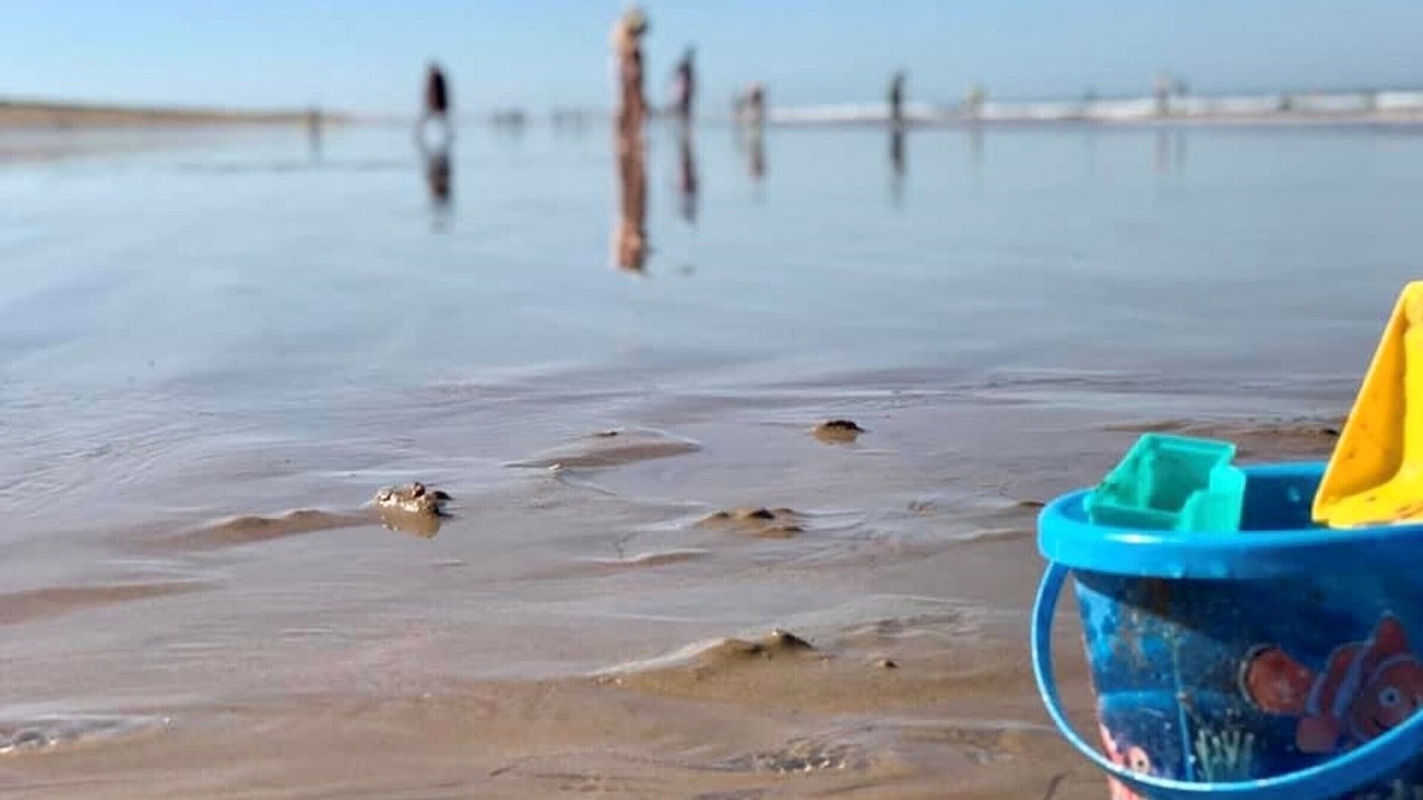 Photo of Others in Bretignolles-sur-Mer