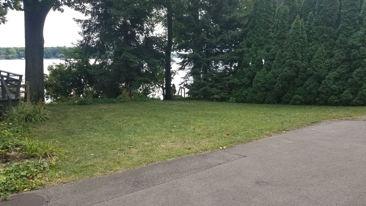 Photo of Others in North Rose
