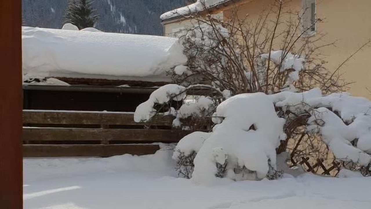 Photo of Others in Zernez